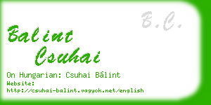 balint csuhai business card